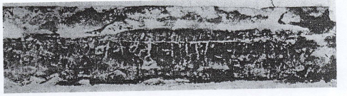 Gyanvapi Asi Survey Report Pdf Guruji8Webstories Inscription 25 1 - Guruji8Webstories