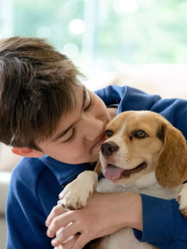 10 things to know before getting a pet dog home